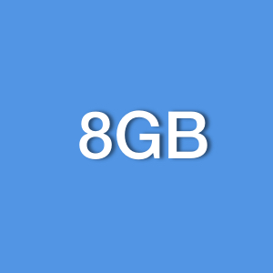 8GB